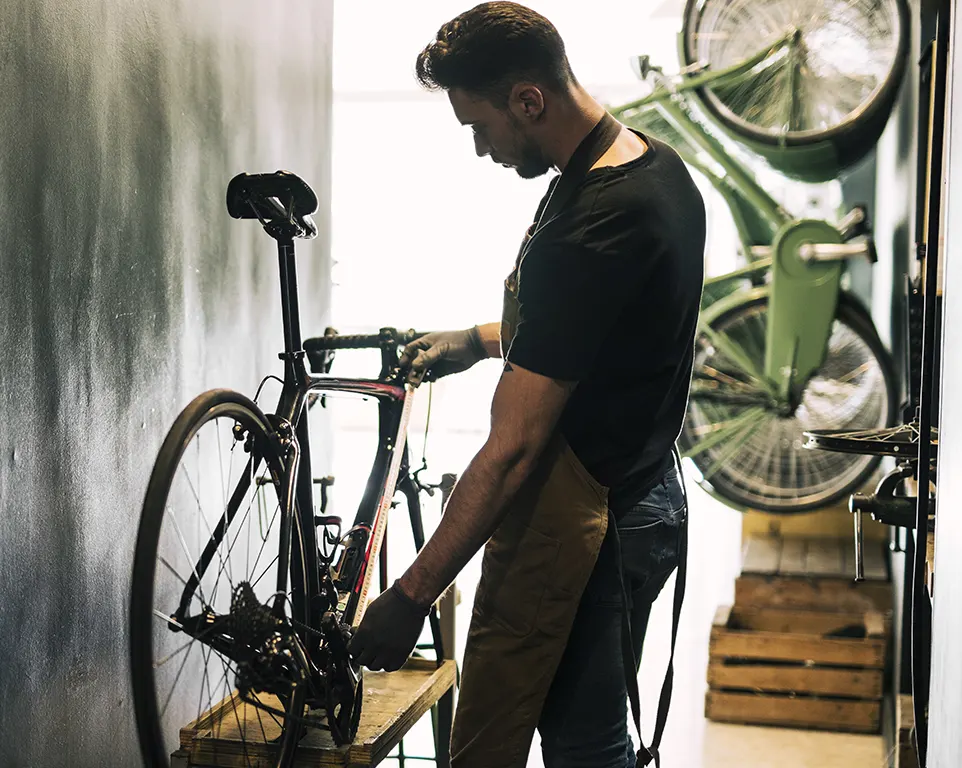 manutenzione ebike genova